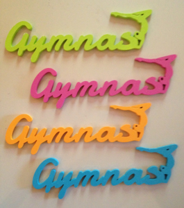 Picture of Gymnast Script